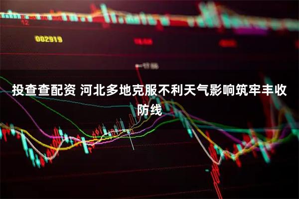 投查查配资 河北多地克服不利天气影响筑牢丰收防线